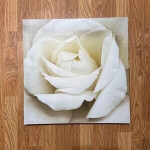 White Iceberg Rose IKEA print by Harold Feinstein 2003